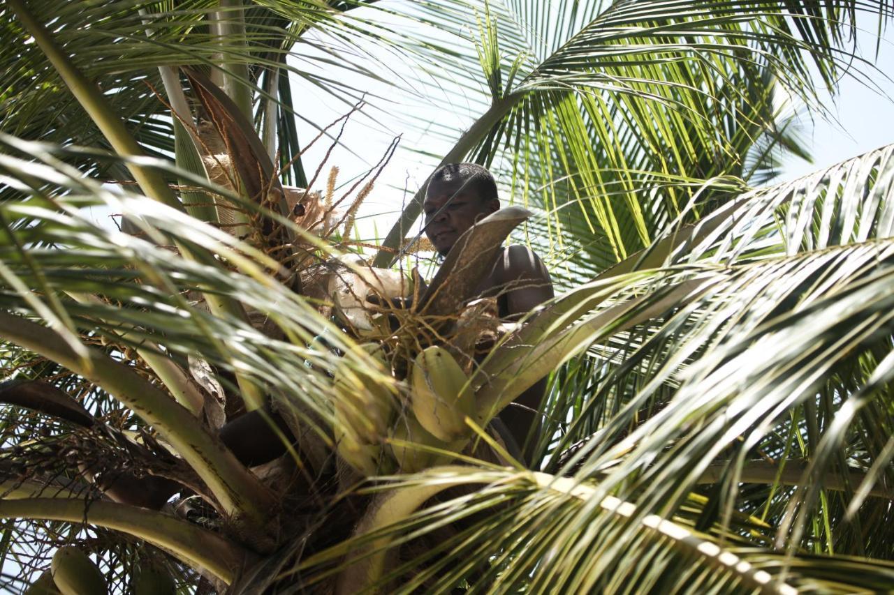 Coconut Village Beach Resort Diani Beach Exteriér fotografie